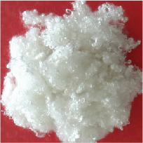 Polyester Fabric