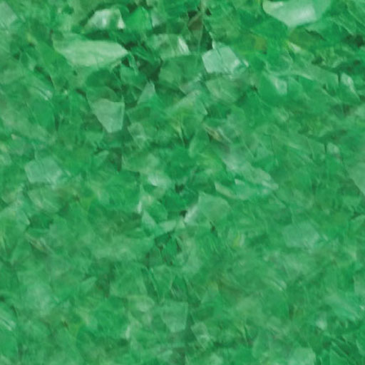 Green Pet Flakes